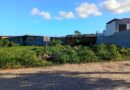 Lote Grimaldi