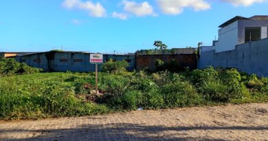 Lote Grimaldi