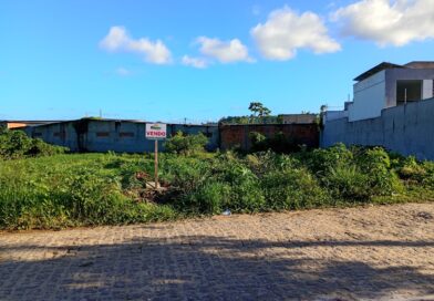 Lote Grimaldi