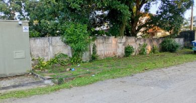 Lote Jardim Grimaldi