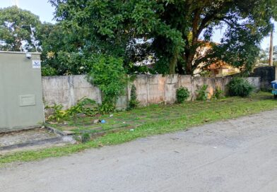Lote Jardim Grimaldi